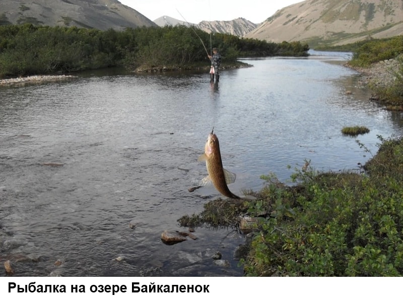 Рыбалка на озере Байкаленок (фото Карамзина А.Н.)
