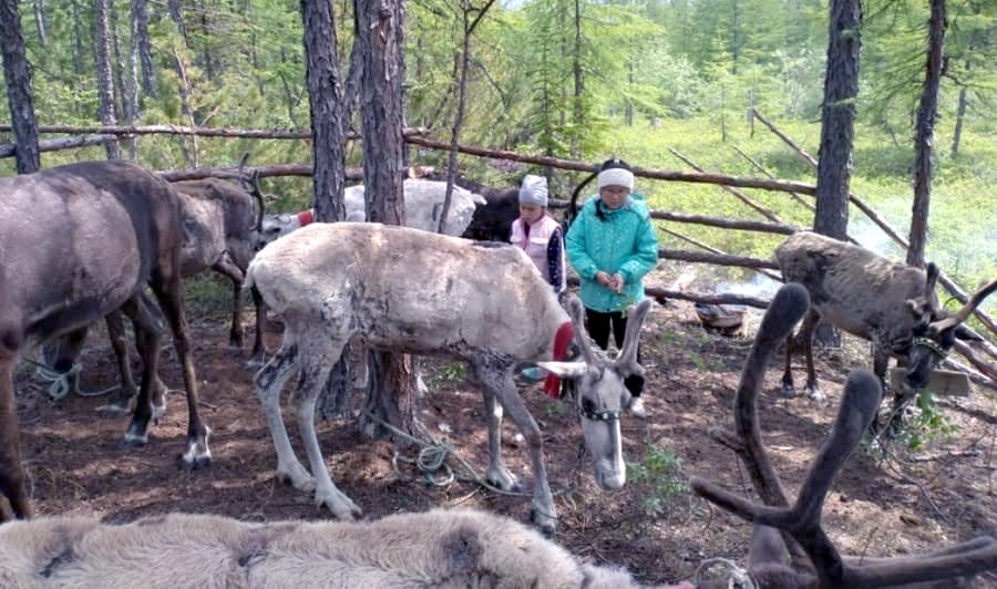 Жителей райцентра Хабаровского края познакомили с бытом кочевников